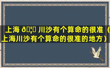 上海 🦊 川沙有个算命的很准（上海川沙有个算命的很准的地方）